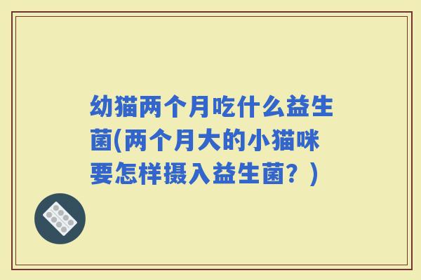 幼猫两个月吃什么益生菌(两个月大的小猫咪要怎样摄入益生菌？)