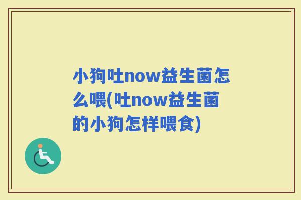 小狗吐now益生菌怎么喂(吐now益生菌的小狗怎样喂食)