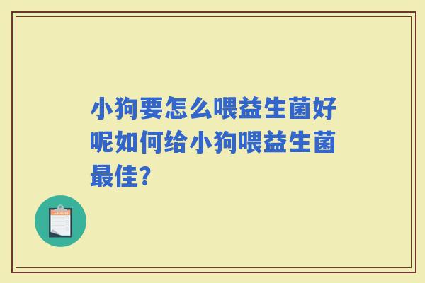 小狗要怎么喂益生菌好呢如何给小狗喂益生菌佳？