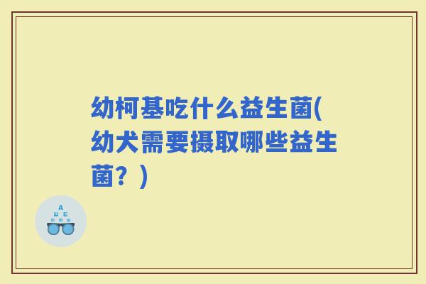 幼柯基吃什么益生菌(幼犬需要摄取哪些益生菌？)