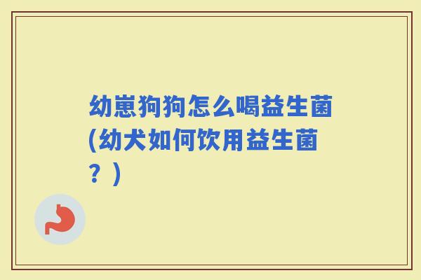 幼崽狗狗怎么喝益生菌(幼犬如何饮用益生菌？)