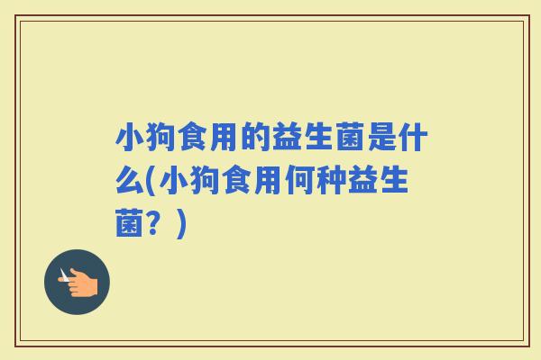 小狗食用的益生菌是什么(小狗食用何种益生菌？)
