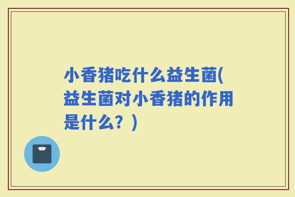 小香猪吃什么益生菌(益生菌对小香猪的作用是什么？)