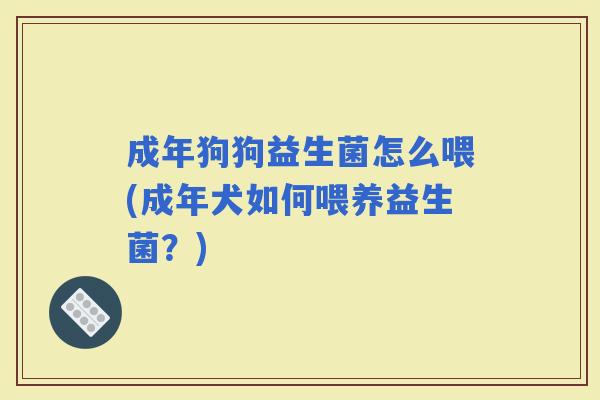 成年狗狗益生菌怎么喂(成年犬如何喂养益生菌?) 成年狗狗益生菌怎么喂(成年犬如何喂养益生菌?)
