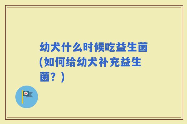 幼犬什么时候吃益生菌(如何给幼犬补充益生菌？)