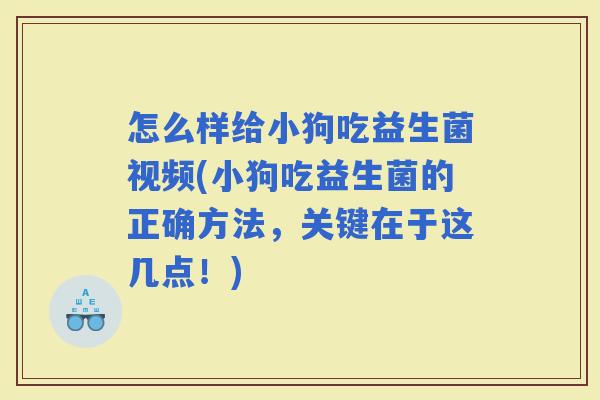 怎么样给小狗吃益生菌视频(小狗吃益生菌的正确方法,关键在于这几点!) 怎么样给小狗吃益生菌视频(小狗吃益生菌的正确方法,关键在于这几点!)