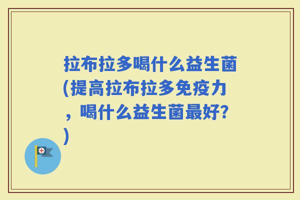 拉布拉多喝什么益生菌(提高拉布拉多力，喝什么益生菌好？)