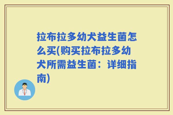 拉布拉多幼犬益生菌怎么买(购买拉布拉多幼犬所需益生菌：详细指南)