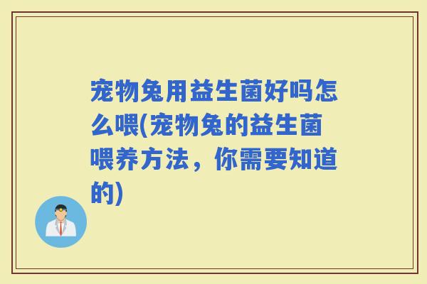 宠物兔用益生菌好吗怎么喂(宠物兔的益生菌喂养方法，你需要知道的)