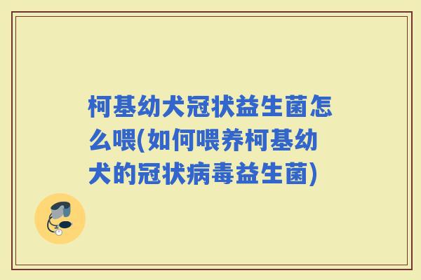 柯基幼犬冠状益生菌怎么喂(如何喂养柯基幼犬的冠状益生菌)