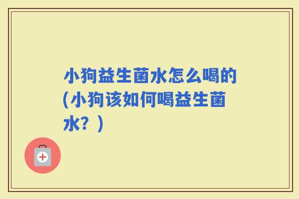 小狗益生菌水怎么喝的(小狗该如何喝益生菌水?) 小狗益生菌水怎么喝的(小狗该如何喝益生菌水?)