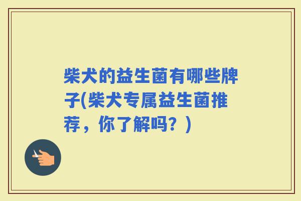 柴犬的益生菌有哪些牌子(柴犬专属益生菌推荐,你了解吗?) 柴犬的益生菌有哪些牌子(柴犬专属益生菌推荐,你了解吗?)