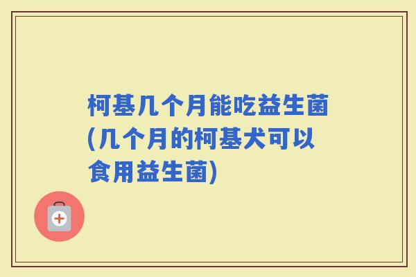柯基几个月能吃益生菌(几个月的柯基犬可以食用益生菌) 柯基几个月能吃益生菌(几个月的柯基犬可以食用益生菌)