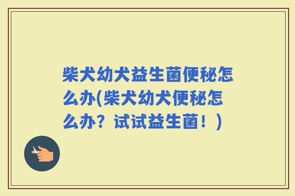 柴犬幼犬益生菌怎么办(柴犬幼犬怎么办？试试益生菌！)