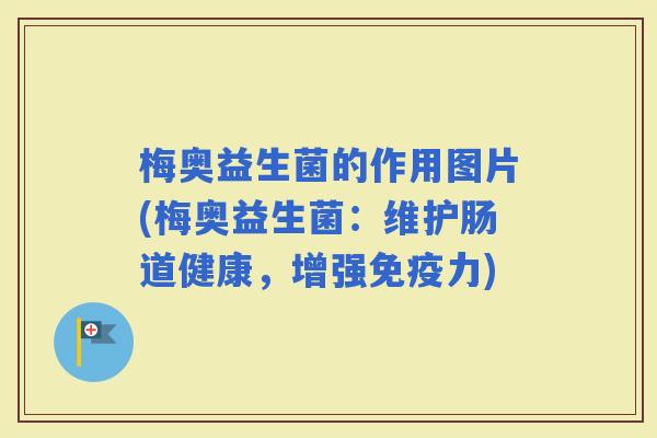 梅奥益生菌的作用图片(梅奥益生菌：维护肠道健康，增强力)