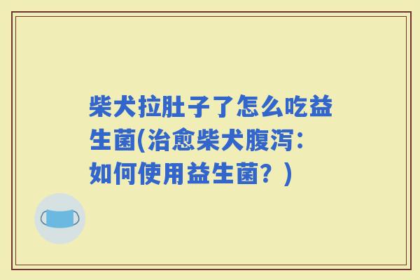 柴犬拉肚子了怎么吃益生菌(愈柴犬:如何使用益生菌?) 柴犬拉肚子了怎么吃益生菌(愈柴犬:如何使用益生菌?)