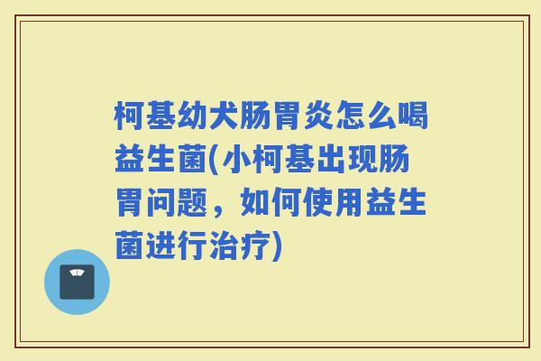 柯基幼犬肠怎么喝益生菌(小柯基出现肠胃问题，如何使用益生菌进行)