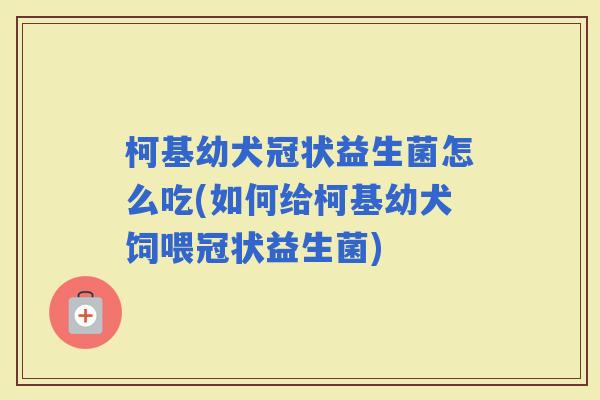 柯基幼犬冠状益生菌怎么吃(如何给柯基幼犬饲喂冠状益生菌)