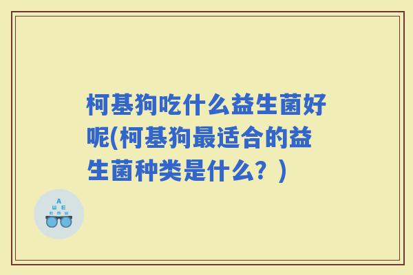 柯基狗吃什么益生菌好呢(柯基狗适合的益生菌种类是什么？)