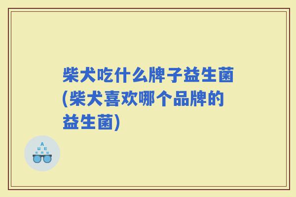 柴犬吃什么牌子益生菌(柴犬喜欢哪个品牌的益生菌) 柴犬吃什么牌子益生菌(柴犬喜欢哪个品牌的益生菌)
