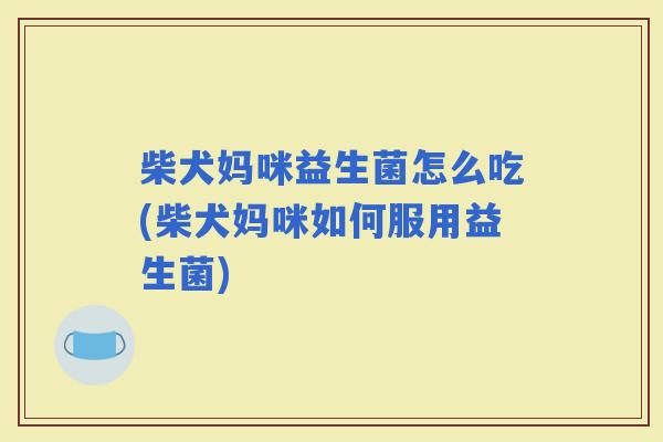 柴犬妈咪益生菌怎么吃(柴犬妈咪如何服用益生菌)