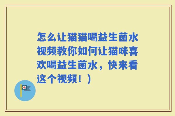 怎么让猫猫喝益生菌水视频教你如何让猫咪喜欢喝益生菌水，快来看这个视频！)