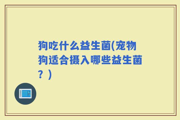 狗吃什么益生菌(宠物狗适合摄入哪些益生菌？)
