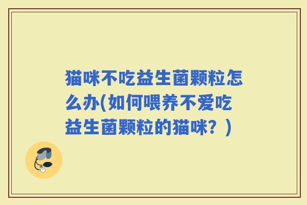猫咪不吃益生菌颗粒怎么办(如何喂养不爱吃益生菌颗粒的猫咪？)