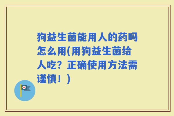 狗益生菌能用人的药吗怎么用(用狗益生菌给人吃？正确使用方法需谨慎！)