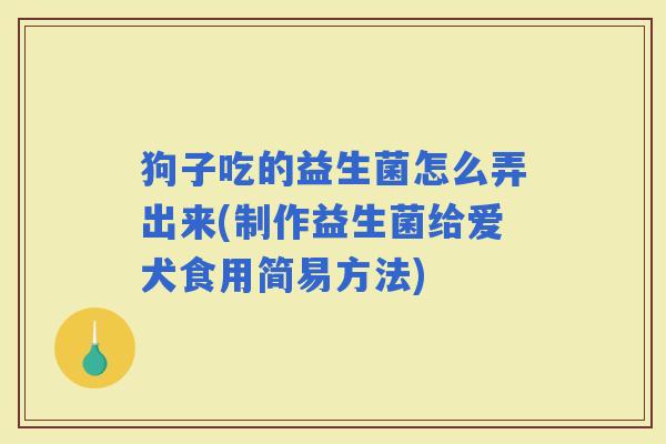 狗子吃的益生菌怎么弄出来(制作益生菌给爱犬食用简易方法)