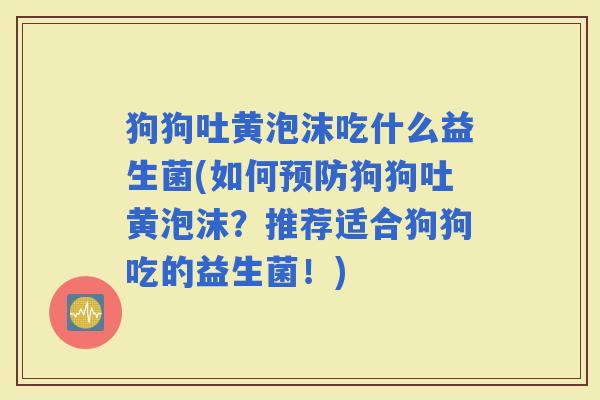 狗狗吐黄泡沫吃什么益生菌(如何狗狗吐黄泡沫？推荐适合狗狗吃的益生菌！)