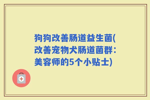 狗狗改善肠道益生菌(改善宠物犬肠道菌群：美容师的5个小贴士)