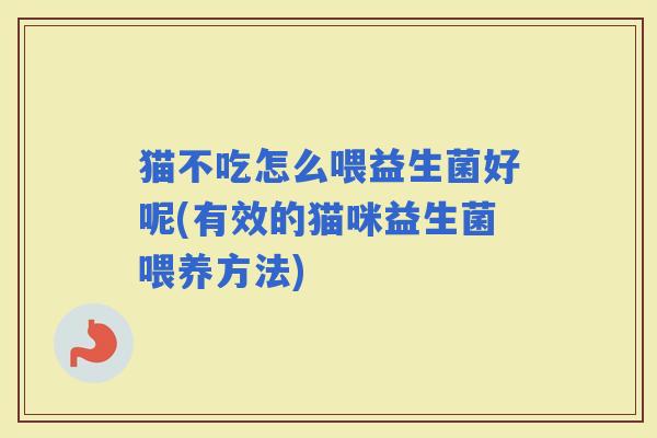 猫不吃怎么喂益生菌好呢(有效的猫咪益生菌喂养方法)