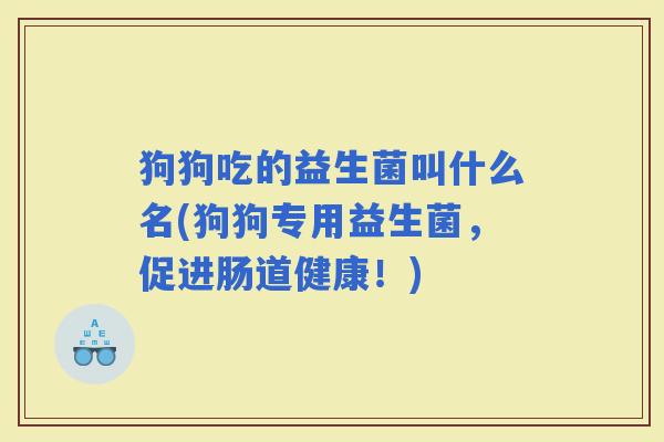 狗狗吃的益生菌叫什么名(狗狗专用益生菌，促进肠道健康！)