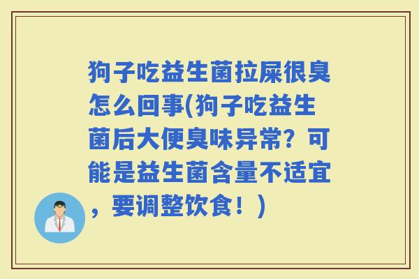 狗子吃益生菌拉屎很臭怎么回事(狗子吃益生菌后大便臭味异常？可能是益生菌含量不适宜，要调整饮食！)