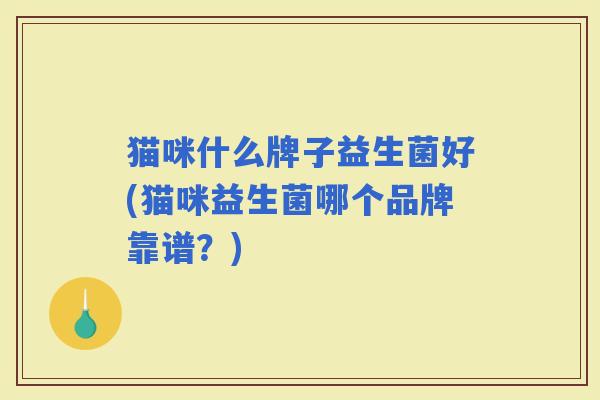 猫咪什么牌子益生菌好(猫咪益生菌哪个品牌靠谱？)