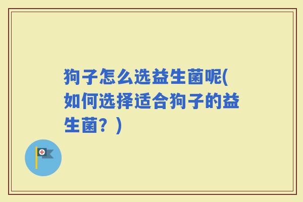 狗子怎么选益生菌呢(如何选择适合狗子的益生菌?) 狗子怎么选益生菌呢(如何选择适合狗子的益生菌?)