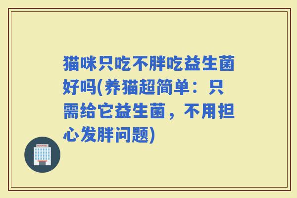 猫咪只吃不胖吃益生菌好吗(养猫超简单：只需给它益生菌，不用担心发胖问题)