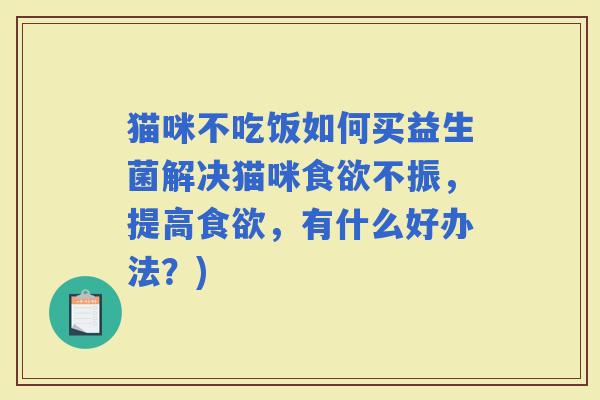 猫咪不吃饭如何买益生菌解决猫咪不振，提高，有什么好办法？)
