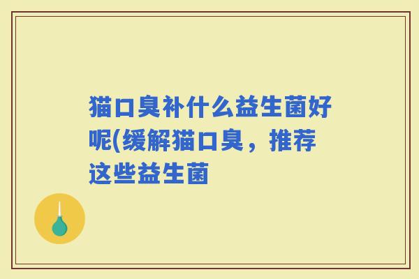 猫补什么益生菌好呢(缓解猫，推荐这些益生菌