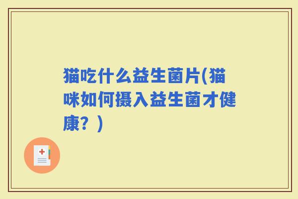 猫吃什么益生菌片(猫咪如何摄入益生菌才健康?) 猫吃什么益生菌片(猫咪如何摄入益生菌才健康?)