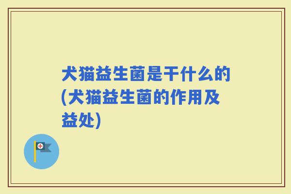 犬猫益生菌是干什么的(犬猫益生菌的作用及益处)
