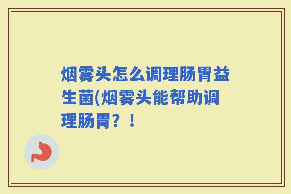 烟雾头怎么调理肠胃益生菌(烟雾头能帮助调理肠胃？！