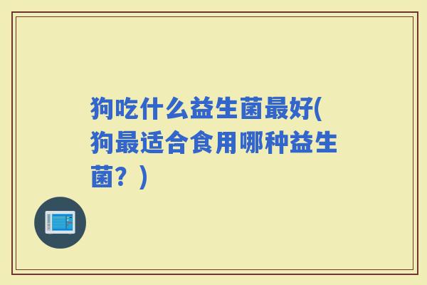 狗吃什么益生菌好(狗适合食用哪种益生菌？)