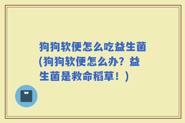 狗狗软便怎么吃益生菌(狗狗软便怎么办？益生菌是救命稻草！)