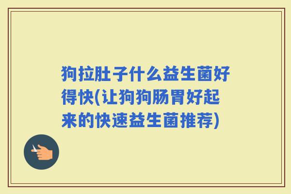 狗拉肚子什么益生菌好得快(让狗狗肠胃好起来的快速益生菌推荐)