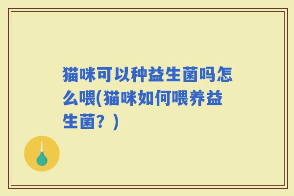 猫咪可以种益生菌吗怎么喂(猫咪如何喂养益生菌？)