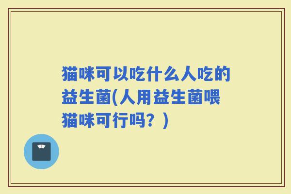 猫咪可以吃什么人吃的益生菌(人用益生菌喂猫咪可行吗？)