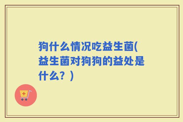 狗什么情况吃益生菌(益生菌对狗狗的益处是什么?) 狗什么情况吃益生菌(益生菌对狗狗的益处是什么?)