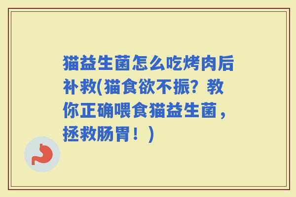 猫益生菌怎么吃烤肉后补救(猫不振?教你正确喂食猫益生菌,拯救肠胃!) 猫益生菌怎么吃烤肉后补救(猫不振?教你正确喂食猫益生菌,拯救肠胃!)